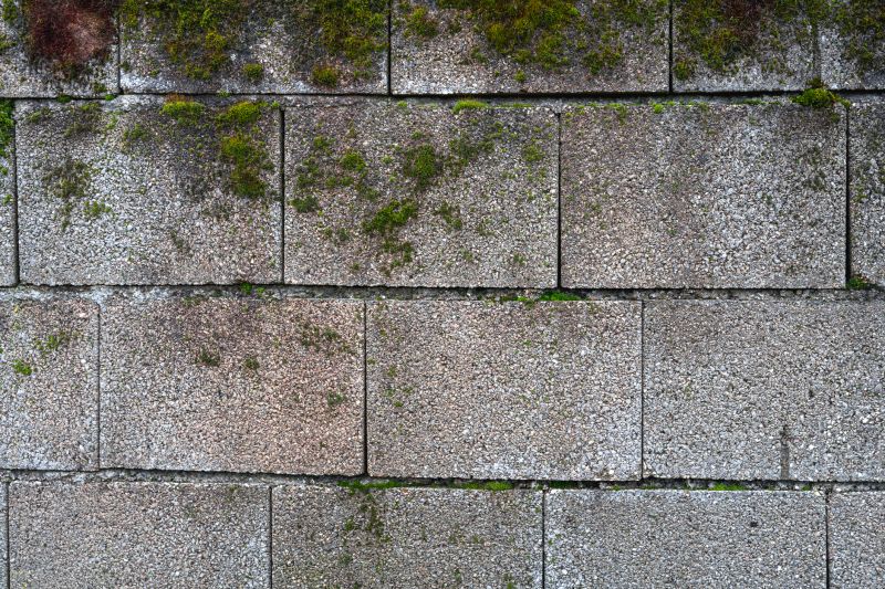 Concrete Block Wall Repair